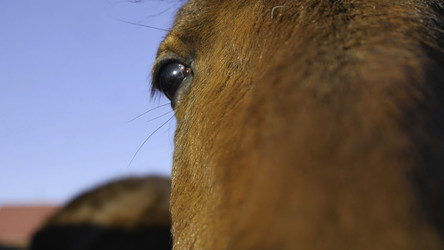 Similar image 22443578