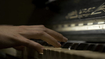 Similar image 22443579