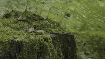 Similar image 22443581