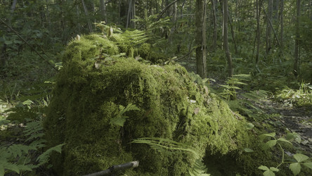 Similar image 22443582