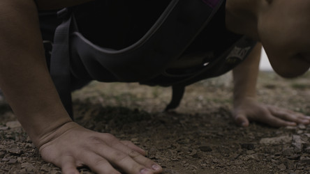 Similar image 22446228