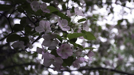 Similar image 22446243