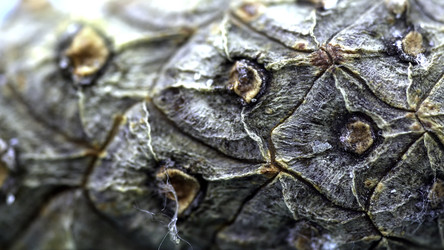 Similar image 22446244