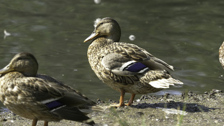 Similar image 22453322