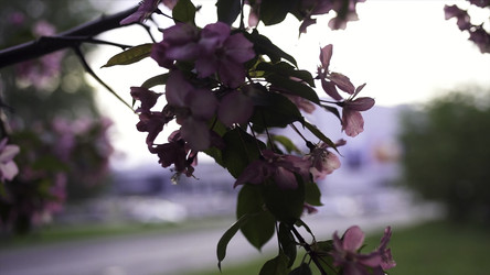 Similar image 22405115