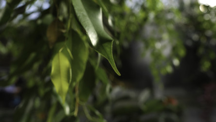 Similar image 22405128