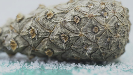 Similar image 22405144