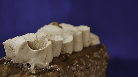 Similar image 22405234