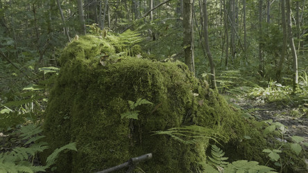 Similar image 22405355