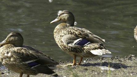 Similar image 22405368