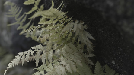 Similar image 22406042