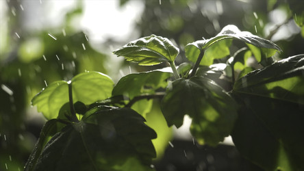 Similar image 22406163