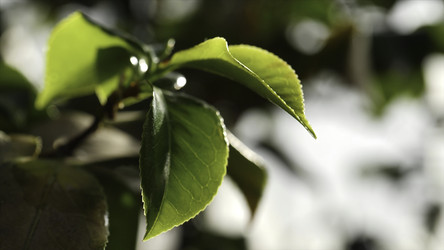 Similar image 22406447