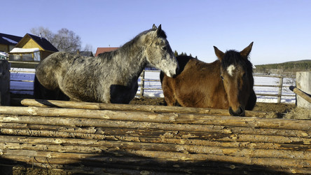 Similar image 22406582