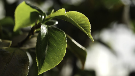 Similar image 22406700