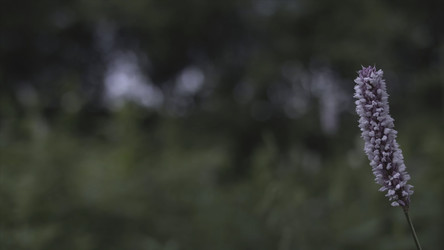 Similar image 22406973