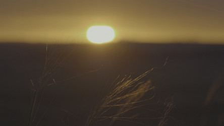 Similar image 22407123