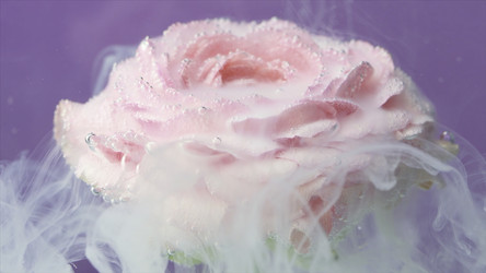 Similar image 22407198