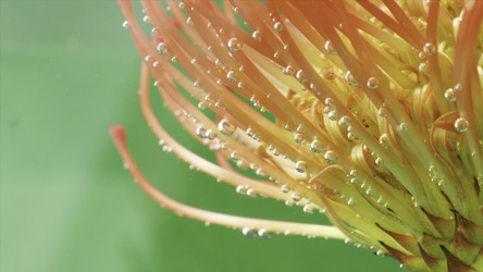 Similar image 22407213