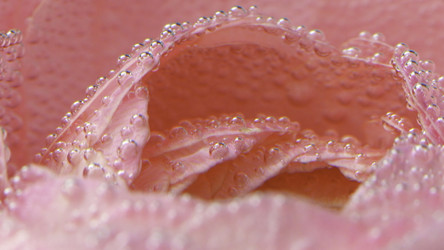 Similar image 22407242