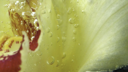 Similar image 22407318