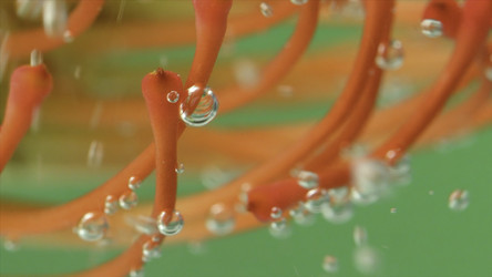 Similar image 22407347