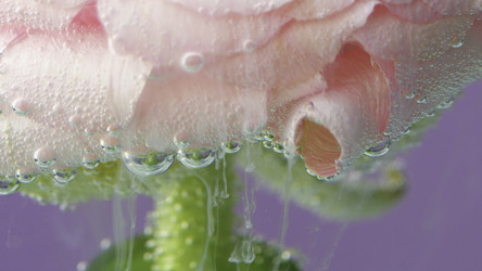 Similar image 22407378