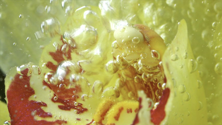 Similar image 22407422