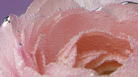 Similar image 22407438