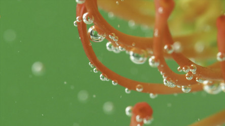 Similar image 22407453