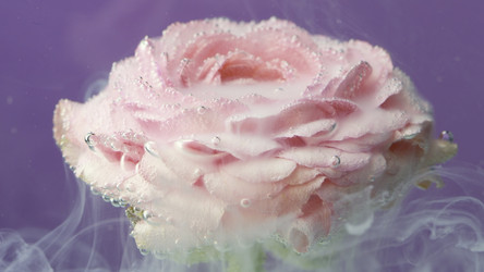 Similar image 22407496