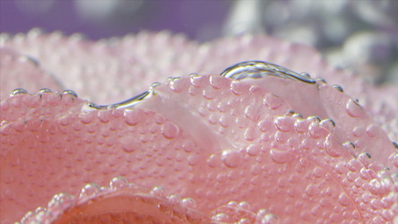 Similar image 22407573