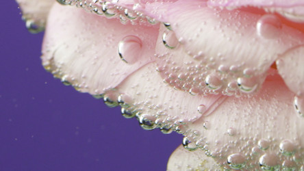 Similar image 22436233