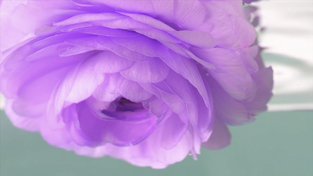 Similar image 22436235