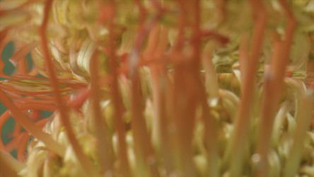 Similar image 22436236