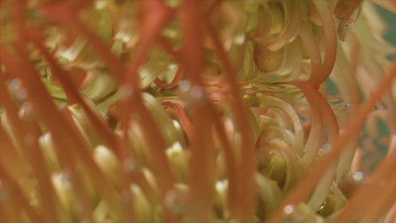 Similar image 22443587