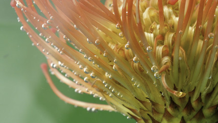 Similar image 22443588