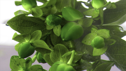 Similar image 22443591