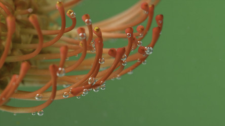 Similar image 22443592