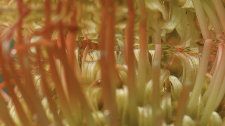 Similar image 22443594