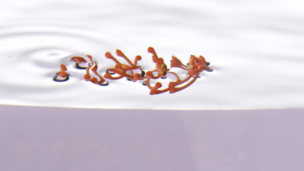 Similar image 22446256