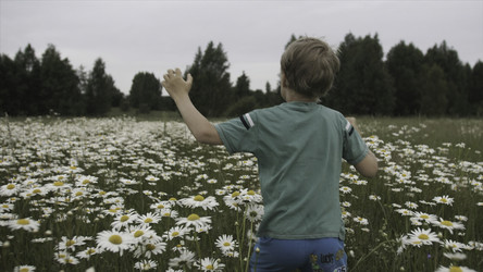 Similar image 22446265