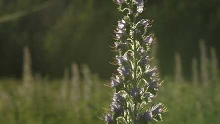 Similar image 22446266