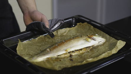 Similar image 22446267