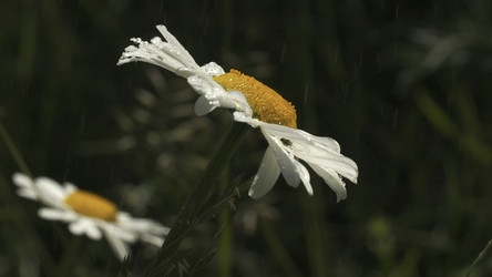 Similar image 22453294