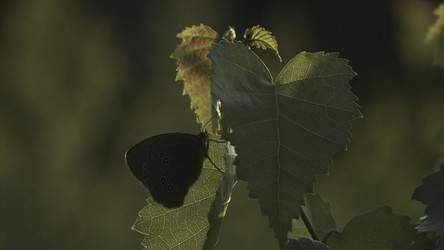 Similar image 22453309