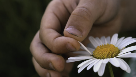 Similar image 22453342