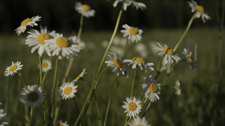 Similar image 22453369