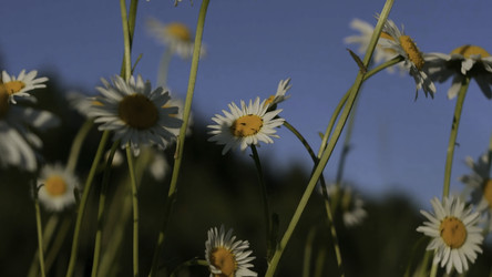 Similar image 22469845