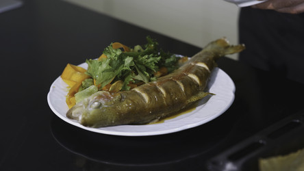 Повар наливает соус на рыбное блюдо. Искусство искусства. Вкусное рыбное блюдо на белой тарелке. Профессиональная порция рыбы, украшенной коричневым соусом - MediaWhaleStock